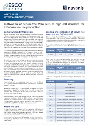 Influenza Vaccine Production - EN