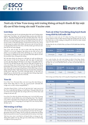 Influenza Vaccine Production - VN