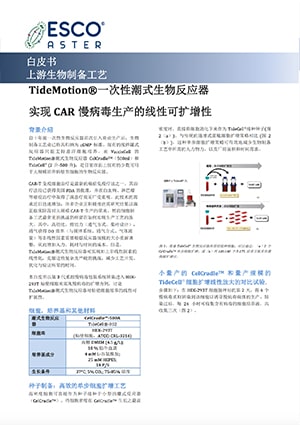 Linear Scalability of CAR Lentivirus Production - CN
