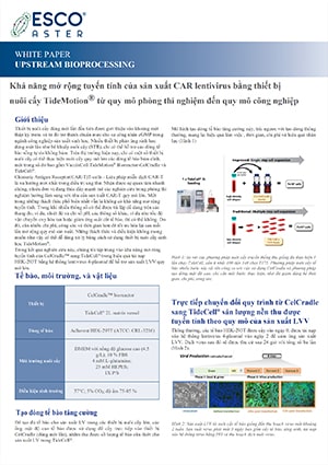 Linear Scalability of CAR Lentivirus Production - VN