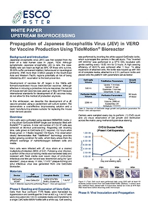 Propagation of Japanese Encephalitis Virus (JEV) in VERO for Vaccine Production - EN