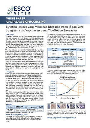 Propagation of Japanese Encephalitis Virus (JEV) in VERO for Vaccine Production - VN