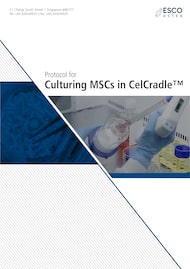 Protocol for Culturing MSCs in CelCradle&trade; - EN