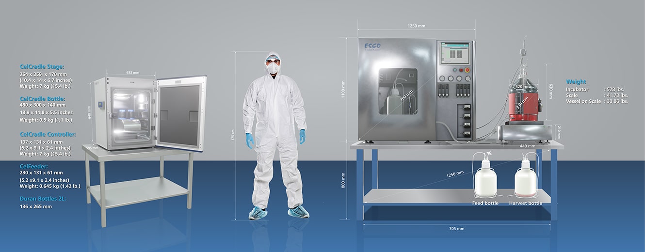 A comparison dimension for bench-scale and manufacturing Tide Motion bioreactors for adherent cell culture.