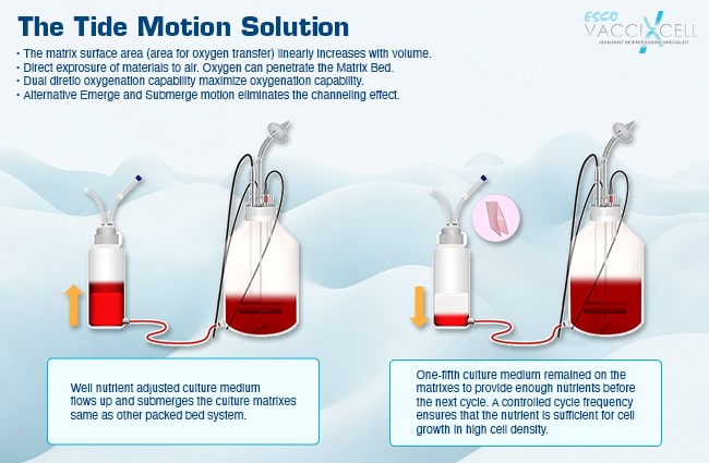 tide motion solution