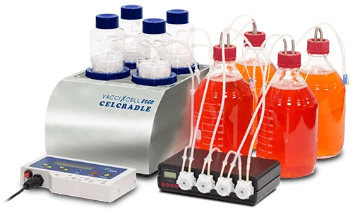 CelCradle