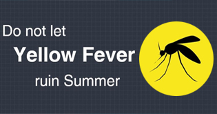 Do not let Yellow Fever ruin Summer