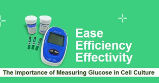 GlucCell: Your Glucose Meter Partner
