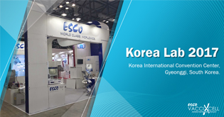 Korea Lab 2017