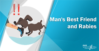 Man's Best Friend and Rabies