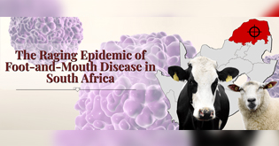 The Raging Epidemic of Foot-and-Mouth Disease in South Africa
