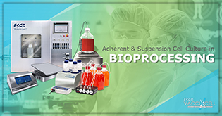Adherent & Suspension Cell Culture in Bioprocessing