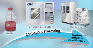 Continuous Bioprocessing