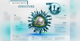 Rotavirus Surveillance<br>(Part 1 of 3)