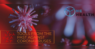Coronaviruses: Lessons from Past Outbreaks to Aid in the Development of Tools against COVID-19